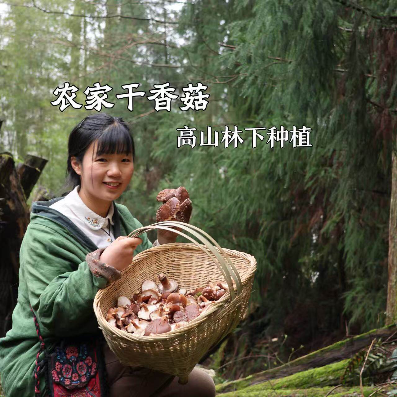 【燕麦行游】重庆石柱土特产正宗椴木香菇干货鲜嫩菌香浓郁