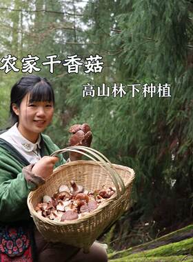 【燕麦行游】重庆石柱土特产正宗椴木香菇干货鲜嫩菌香浓郁