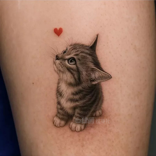 6张超可爱小猫咪纹身贴仿真高级