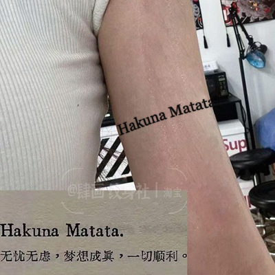 无忧无虑hakunamatata草本纹身贴