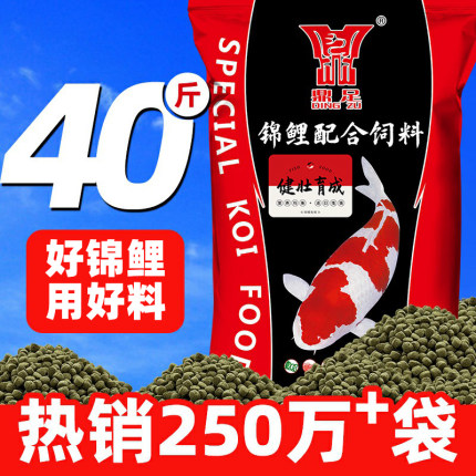 鼎足专用锦鲤鱼饲料增体色扬别墅鱼食不浑水上浮增肥发色育成鱼粮