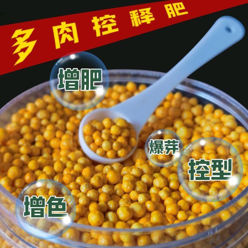 花肥谷多肉专用家庭园艺颗粒控释肥养花花卉绿植氮磷钾缓释通用肥