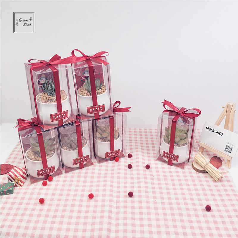 Green shed | 定制 公司年会小礼物 活动小礼品 多肉植物伴手礼在类目 鲜花速递/花卉仿真/绿植园艺, 花卉/绿植盆栽（新）, 绿植中 - 来自Buy2taobao.com提供专业的淘宝代购服务