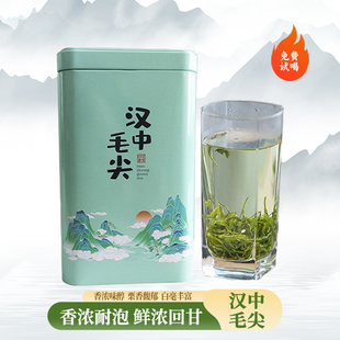 【粉丝福利】陕西汉中毛尖绿茶高山云雾绿茶叶口粮茶100g体验装