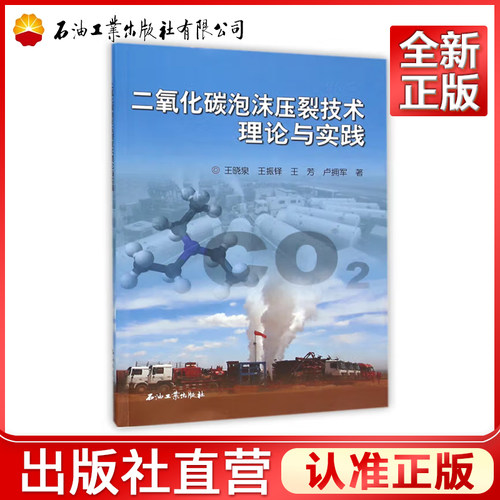 二氧化碳泡沫压裂技术理论与实践
