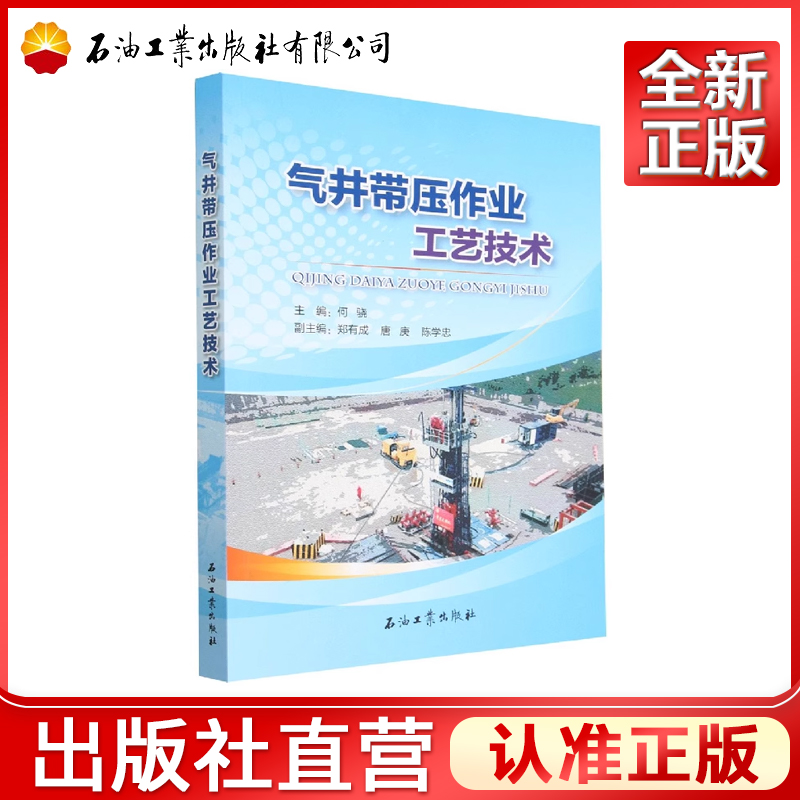 气井带压作业工艺技术  何骁 编
