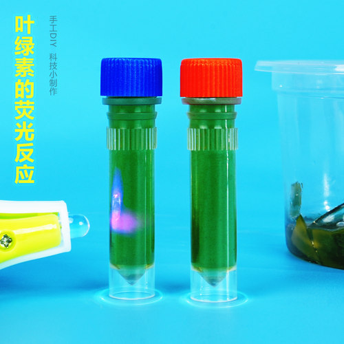 叶绿素的荧光反应光学基态实验新