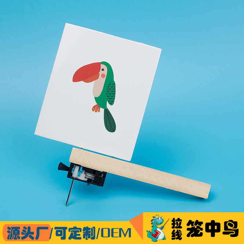 拉线笼中鸟视觉停留小学生幼儿园科学益智创造科技小制作礼物推荐 玩具/童车/益智/积木/模型 科学实验 原图主图