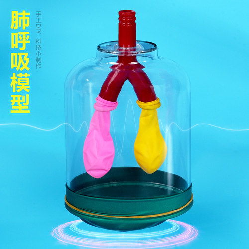 肺呼吸模型diy科技小制作膈肌运动模拟 小学生教材同款科学小实验