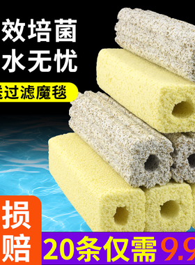 鱼缸过滤材料细菌屋滤材硝化菌远红外纳米硝化细菌棒净水培菌方砖