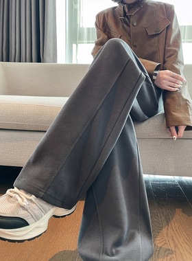 唐狮2025年春季新款女休闲裤子直筒显瘦灰色百搭阔腿长裤香蕉裤WP