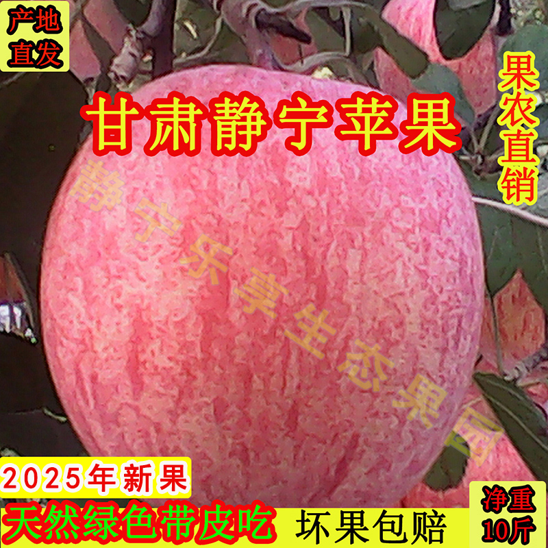 静宁苹果甘肃红富士静宁红富士