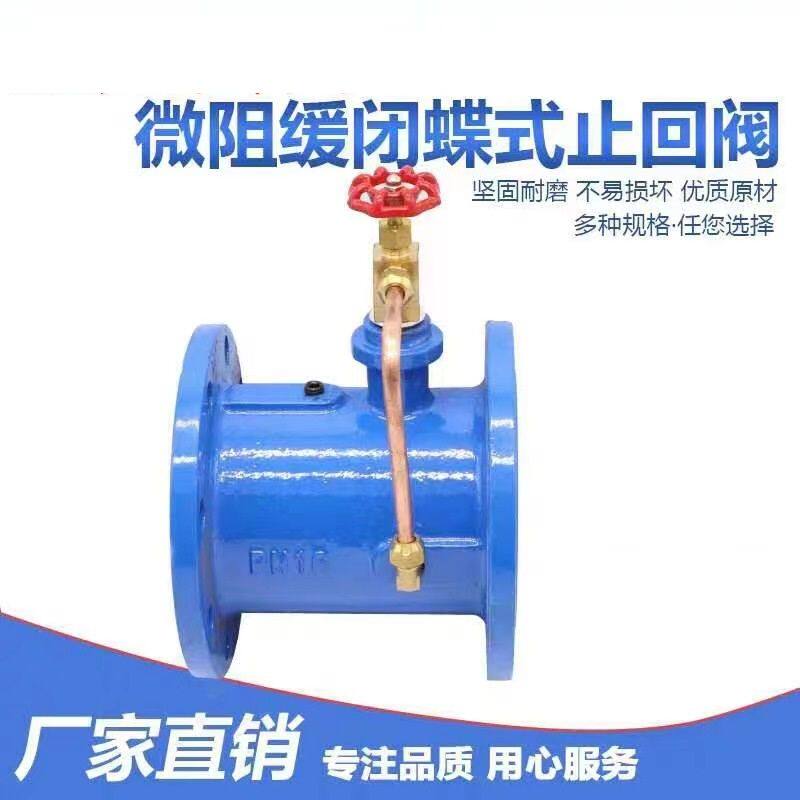 HH49X-10P缓闭止回阀,蝶型缓闭止回阀,不锈钢缓闭止回阀