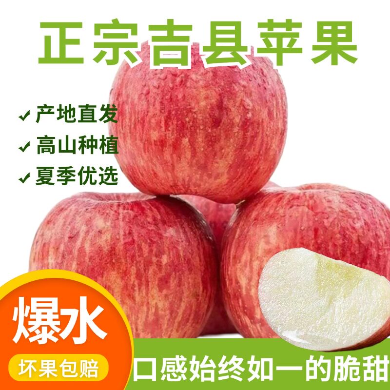 山西吉县红富士苹果一级精品冰糖心新鲜水果当季整箱优质特级苹果