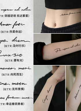 拉丁文字母草本纹身贴20贴/8张装