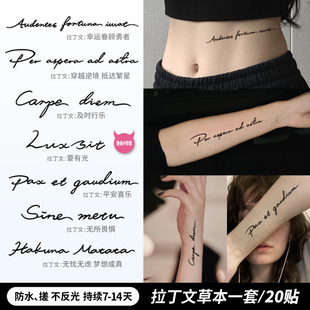 独角小怪兽拉丁文草本英文字母纹身贴防水女持久高级感男果汁贴纸