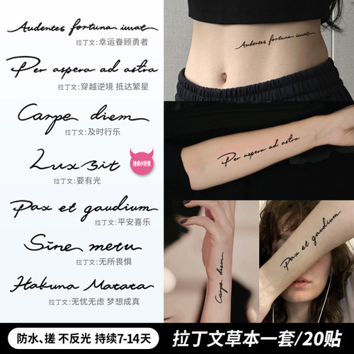 独角小怪兽拉丁文草本英文字母纹身贴防水女持久高级感男果汁贴纸
