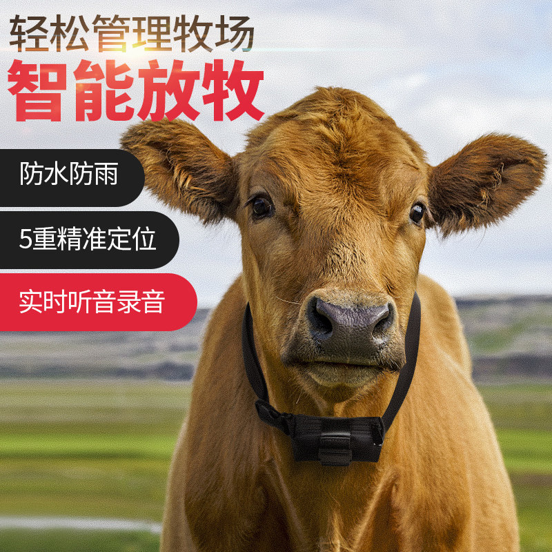 Cattle and horses accurate location Theft prevention waterproof Large animals waterproof Grazing gps positionerin the Car/Articles/Fitting/Refit , Car Audio/Car Electronics/Electric , Automotive anti-theft security , Tracker  category - from Buy2taobao.com to provide professional Taobao agent buy service