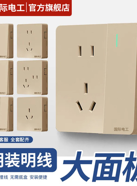 TEP国际电工明装开关插座面板墙壁多孔家用金色四5五六7七八8十孔