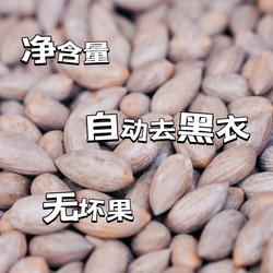 双峰香榧子2023新货宁海黄坛香榧特产农产品坚果袋装果粘八街香榧