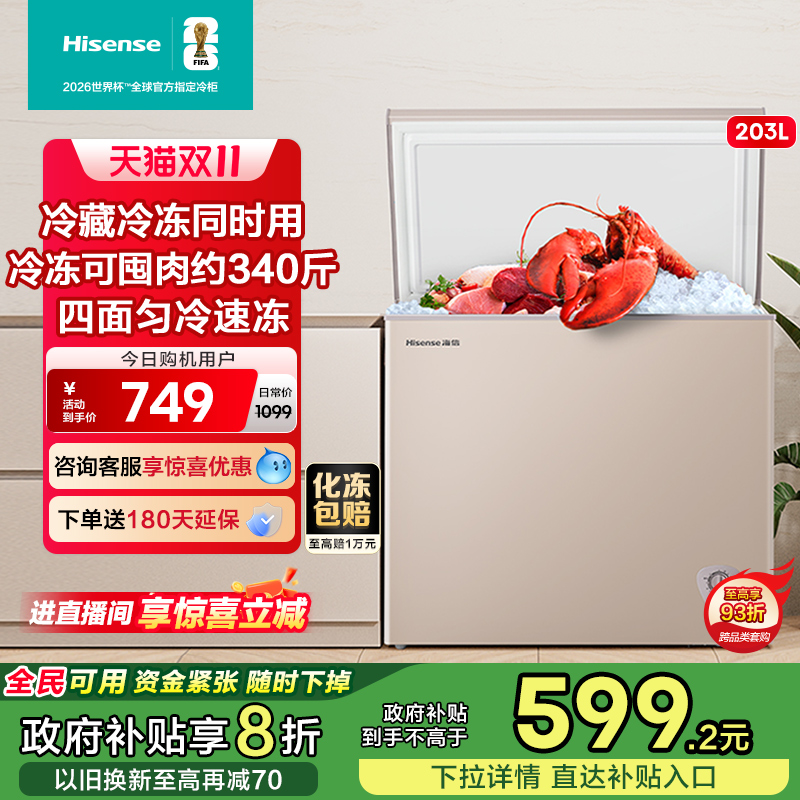 海信203升大容量强冷冻减霜冷柜