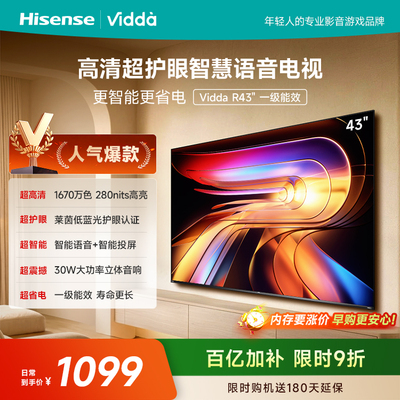 Vidda 海信电视 R43一级能效