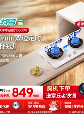 海信大薄荷系列双炉天燃气灶具台嵌入两用式以旧换新DB50W白色