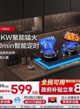 海信天燃气双炉灶具台嵌两用嵌入式大猛火以旧换新补贴DB33