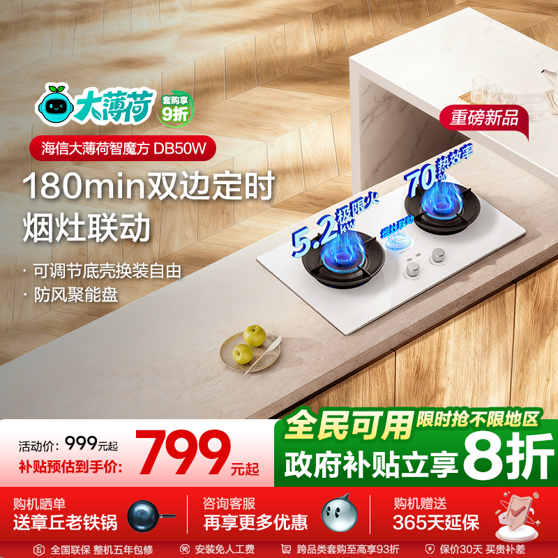 海信大薄荷系列双炉天燃气DB50W