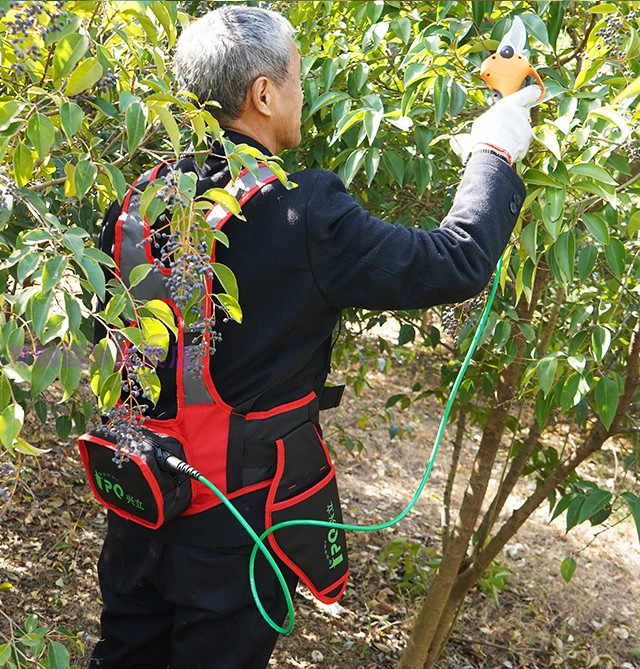 剪电动修枝剪果树动粗兴立 F剪枝机电充电式F园艺Q树枝P枝剪刀35