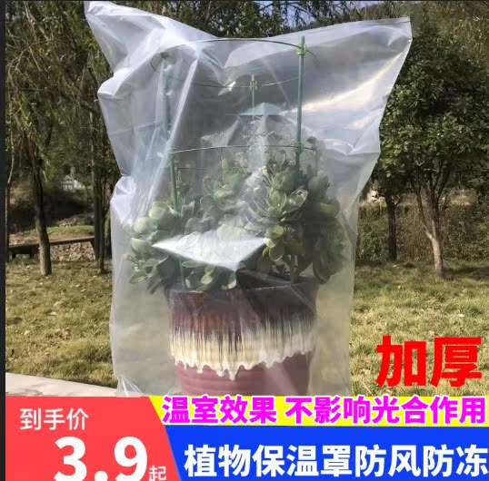 花卉植物防冻保温罩果树保温防寒