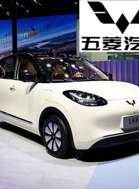 五菱缤果新能源电动四轮车