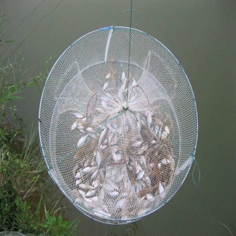 3嘴神奇鱼笼虾笼鱼网龙虾黄鳝泥鳅笼抓鱼虾网鱼笼子鱼篓1饵1浮圈