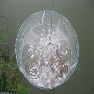 3嘴神奇鱼笼虾笼鱼网龙虾黄鳝泥鳅笼抓鱼虾网鱼笼子鱼篓1饵1浮圈