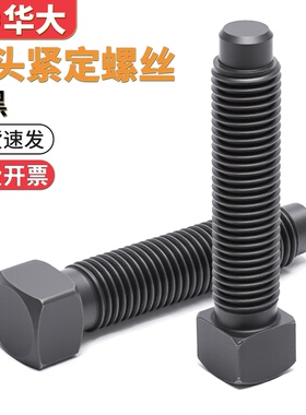 方头紧定螺丝顶丝4.8级凸端长圆柱端紧定螺钉GB85M8M10M12M16-M30
