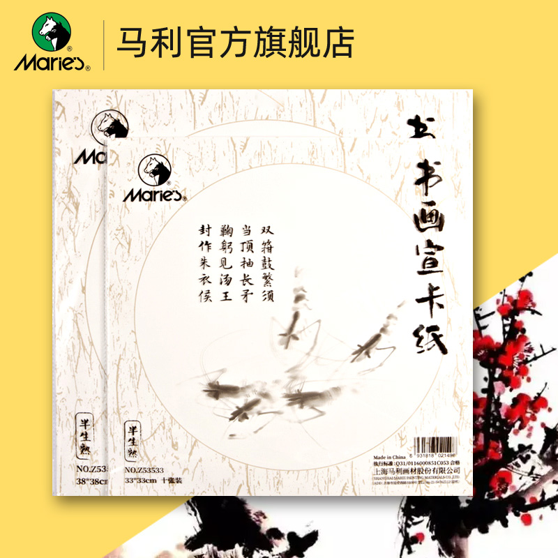 马利宣纸卡纸10张/一套