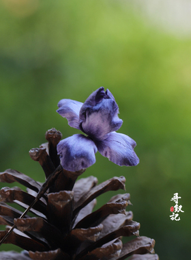 原创紫色鸢尾花手工非遗绒花胸针高级感中式旗袍汉服仙美女送礼物