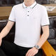 短袖 棉百搭潮流半袖 polo衫 t恤夏季 翻领轻奢商务上衣 男士 2025新款