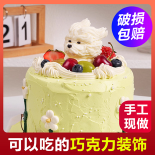 潦草小狗蛋糕装饰摆件巧克力网红立体黄油小熊风吹小狗生日插件