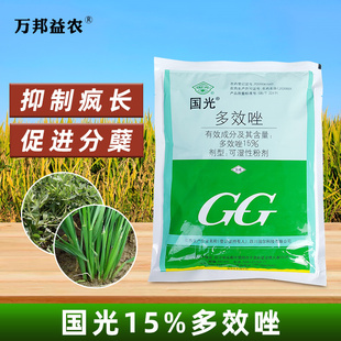 国光正品 多效唑15%多效锉植物生长调节剂农药水稻苗床管矮药控旺