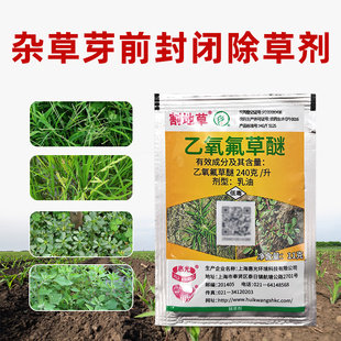 惠光割地草除草剂240克/升乙氧氟草醚乳油森林苗圃一年生杂草通用