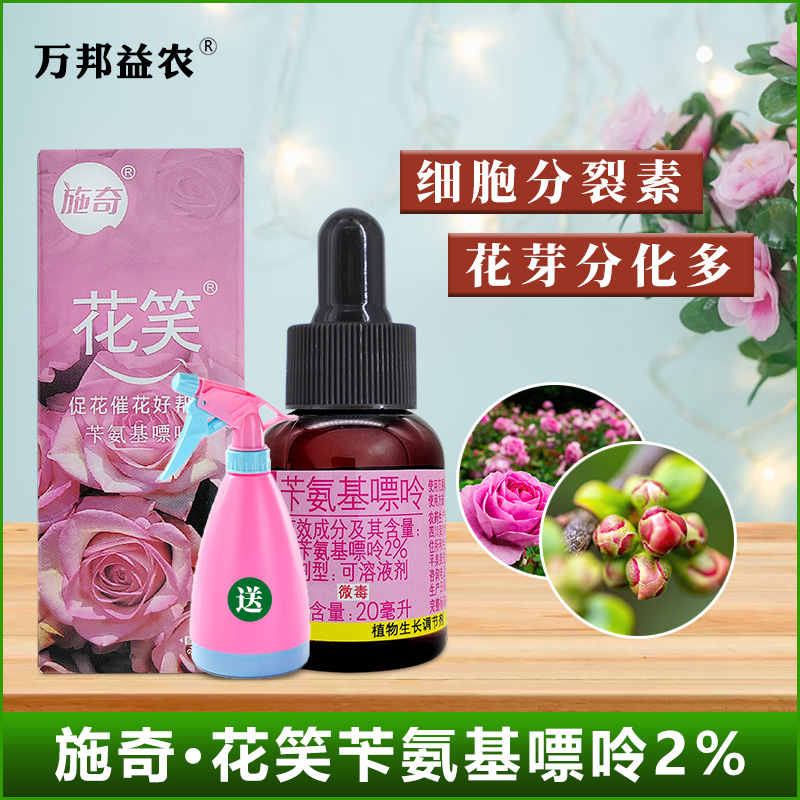 国光施奇花笑苄氨基嘌呤月季花卉爆芽素细胞分裂素植物生长调节剂