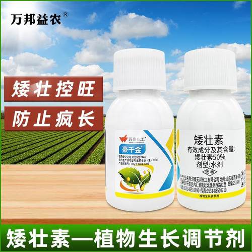 矮壮素矮壮药14羟基芸苔素生长