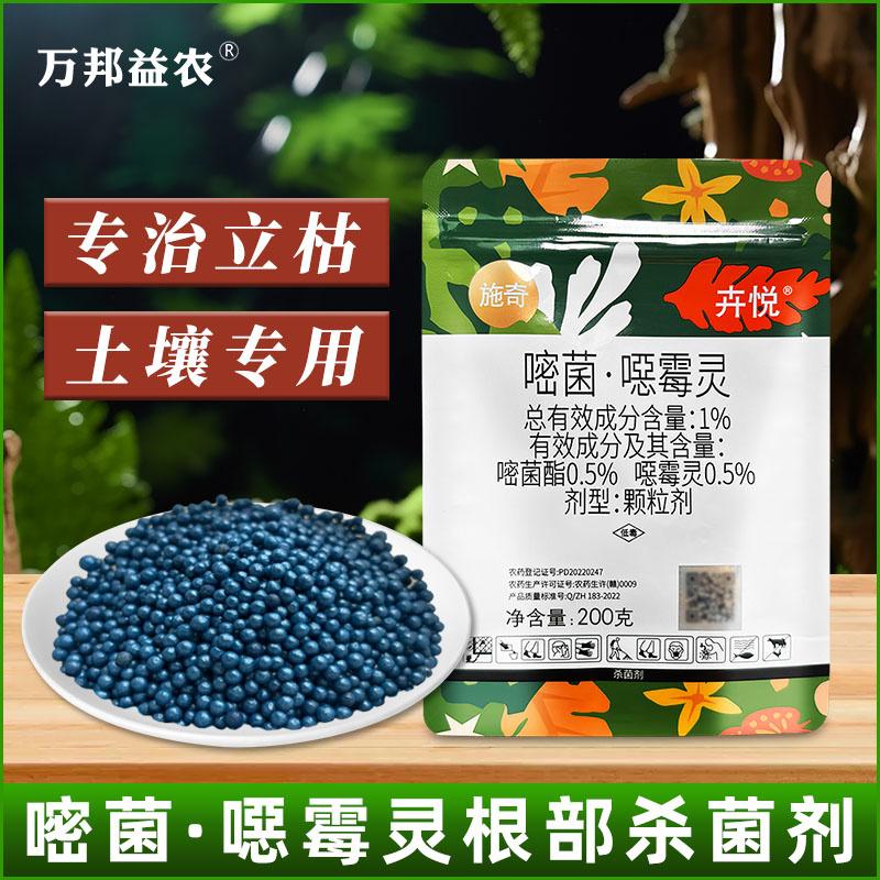 施奇卉悦颗粒剂1%嘧菌酯恶霉灵嘧酯菌园艺移栽杀菌剂立枯病恶莓灵