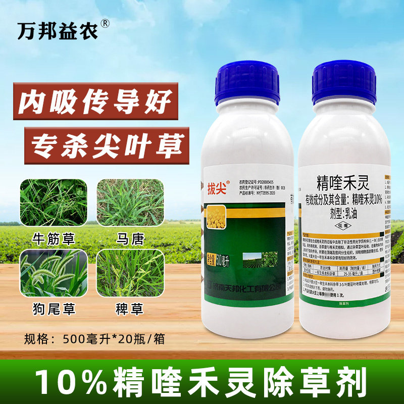 天邦拔尖精喹禾灵除草剂图片