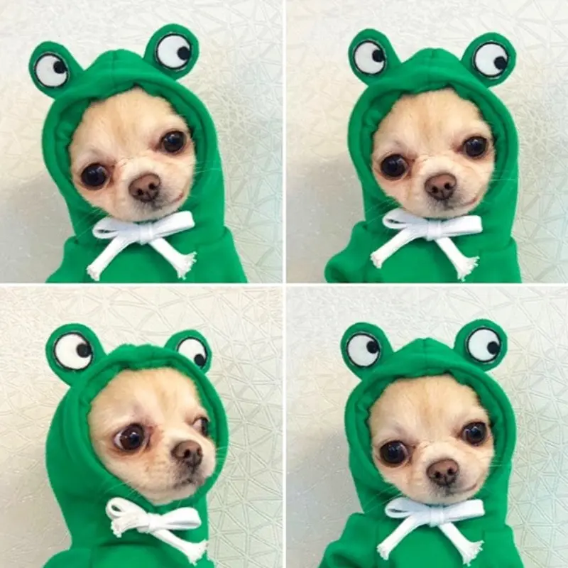 宠物衣服变身装狗狗中小型幼犬猫咪博美泰迪法斗柯基比熊狗狗衣服