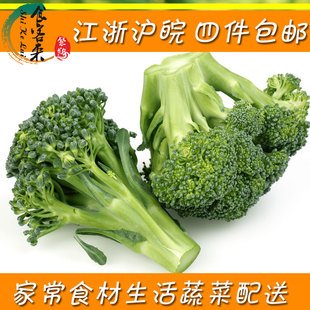 新鲜西兰花1000g蓝花菜 broccoli江浙沪皖包邮家常食材蔬菜青菜