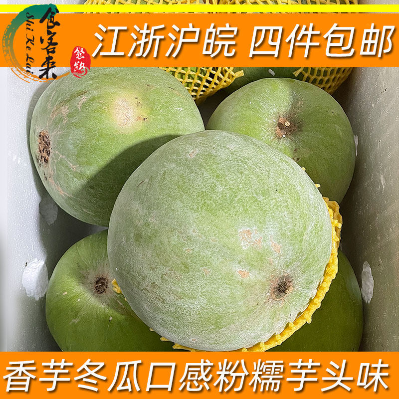 新鲜香芋冬瓜芋头口感粉面糯冬瓜盅小冬瓜酒店餐饮创新食材