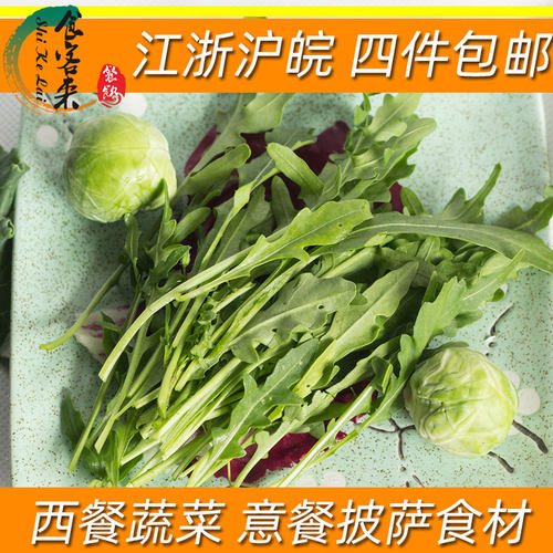 沙拉系列新鲜食用芝麻菜火箭菜