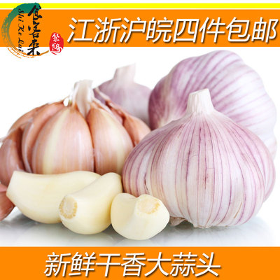 新鲜当季干大蒜头500g多瓣独头蒜garlic江浙沪皖包邮家常蔬菜青菜